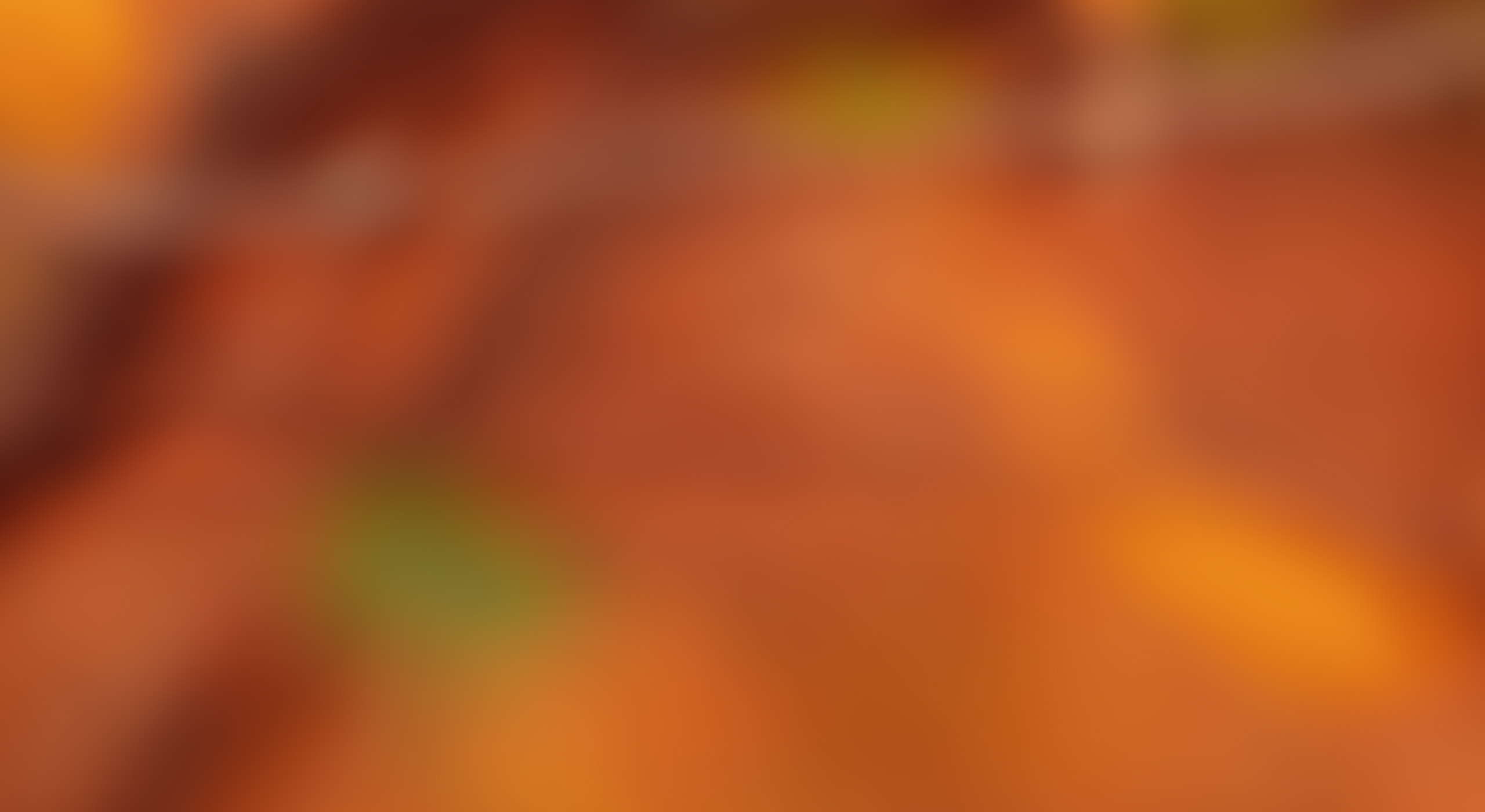 Baumhaus "Elvis" - Sonnenresort Ettershaus